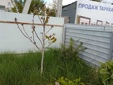 ділянка за адресою нада