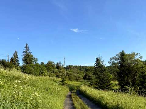 ділянка за адресою Лесі Українки