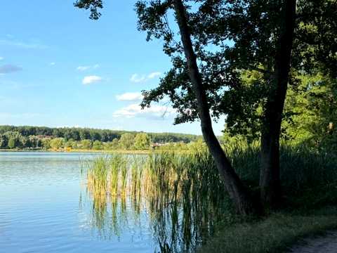 ділянка за адресою с. Іванковичі, 