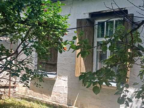 дом по адресу Некрасова, 31