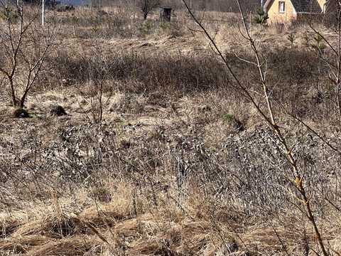 ділянка за адресою Зелена, 30