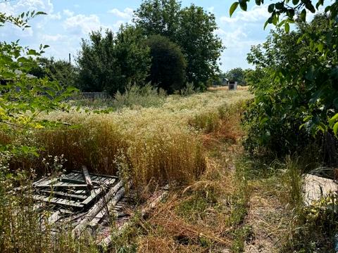 ділянка за адресою Центральна вул. (Леніна)