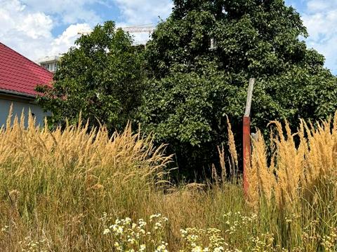 ділянка за адресою Центральна вул. (Леніна)