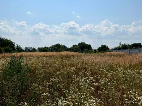 ділянка за адресою Центральна вул. (Леніна)