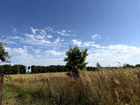 ділянка за адресою Академічна, 29