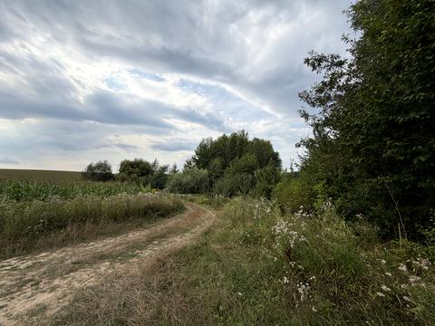 ділянка за адресою с. Зарванці, Степова