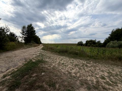 ділянка за адресою с. Зарванці, Степова