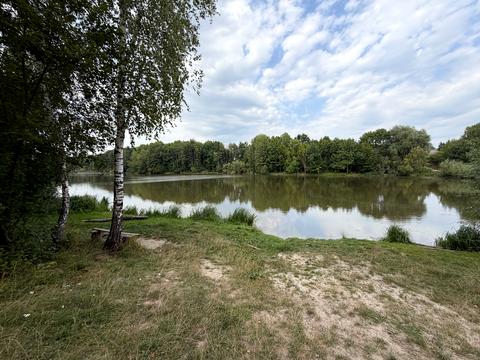 ділянка за адресою с. Зарванці, Степова