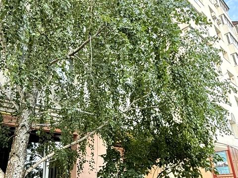 квартира за адресою Білогородська вул., 19а