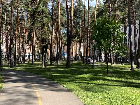 комерційна за адресою Університетська вул., 3/6