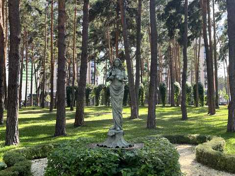 комерційна за адресою Університетська вул., 3/6