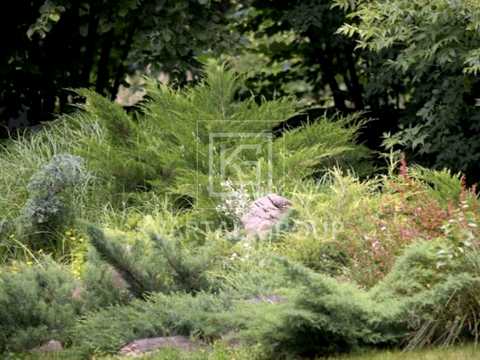 дом по адресу Лісна