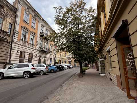 комерційна за адресою Івано-Франківськ, Михайла Грушевського вул., 11