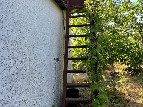 будинок за адресою с. Баловне, Садоа