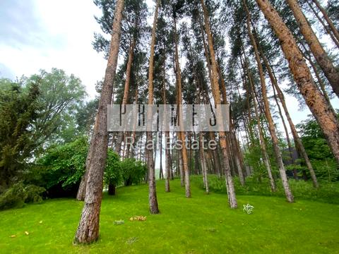 дом по адресу Лісова