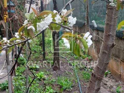 будинок за адресою Любима