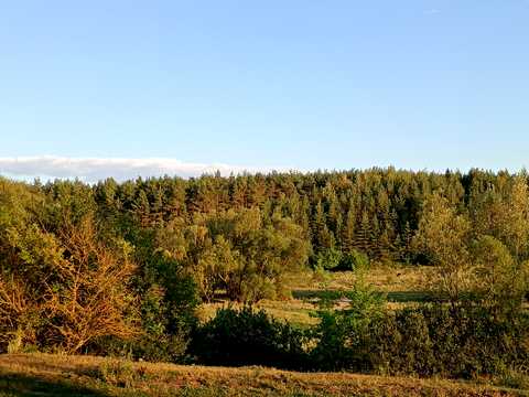 участок по адресу Нове Село ул.