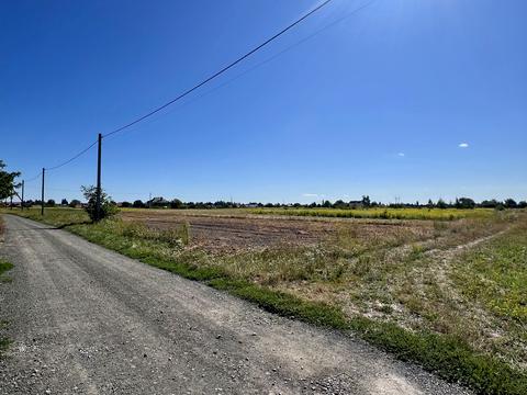 ділянка за адресою с. Піддубці, Київська