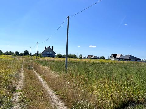 ділянка за адресою с. Піддубці, Київська