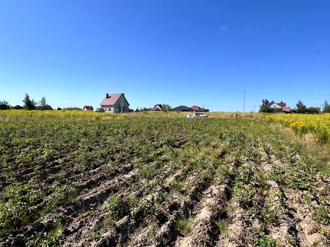 ділянка за адресою с. Піддубці, Київська