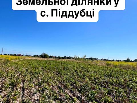ділянка за адресою с. Піддубці, Київська