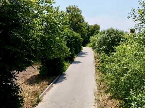 ділянка за адресою с. Кожичі, Центральна