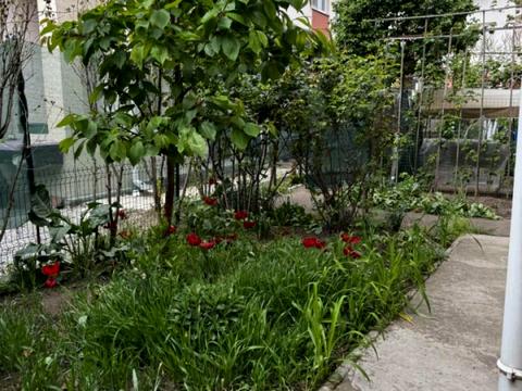 будинок за адресою с. Крижанівка, Академіка Заболотного вул.