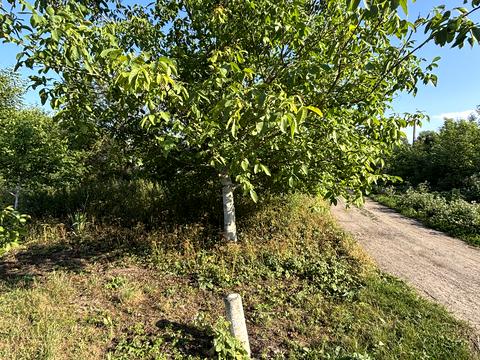 ділянка за адресою Дубно, Провулок Сковороди