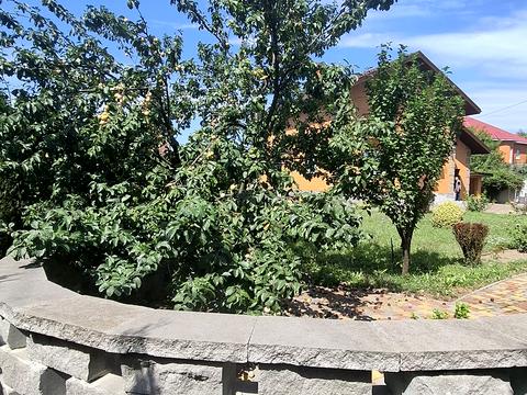 дом по адресу с. Петропавловское (Петровское), Бориспильська, 52а