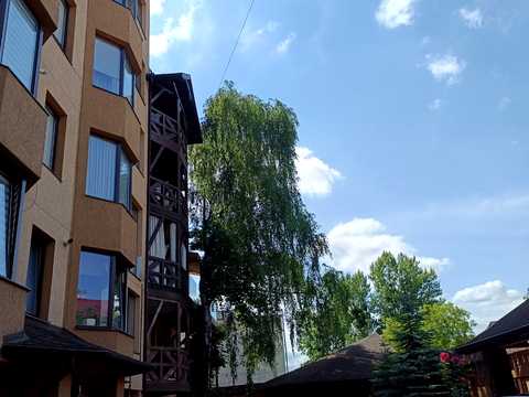 квартира за адресою Братів Міхновських вул. (Московська), 37а