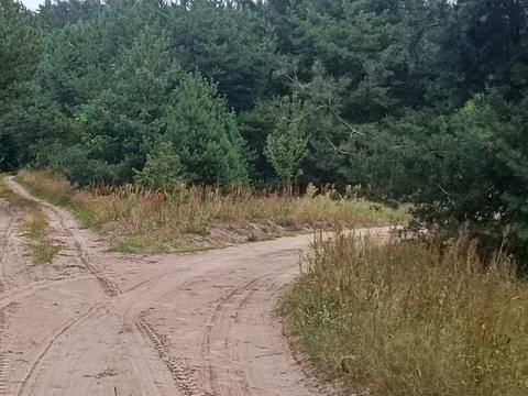 участок по адресу Центральна