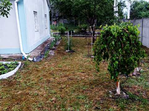 дом по адресу Дружби, 11