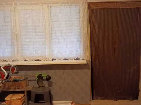 дом по адресу Дружби, 11