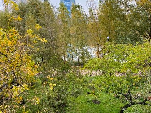 квартира за адресою Героїв Дніпра вул., 38-Е