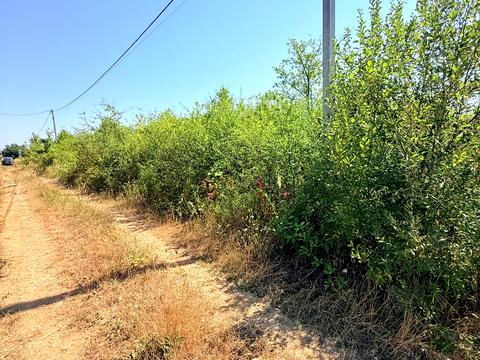 ділянка за адресою Тютюнова