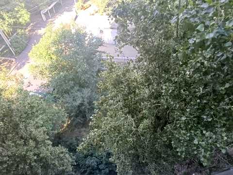 квартира за адресою Педагогічна вул., 46
