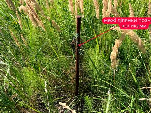 ділянка за адресою с. Підберізці, Сагайдачного