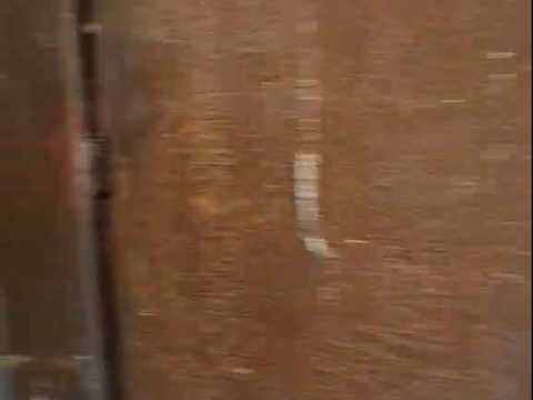 комерційна за адресою Сирецька вул., 39