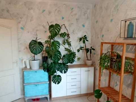 квартира по адресу Рабочая ул., 65
