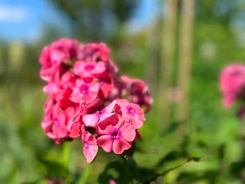 будинок за адресою Яблунева вул., 28