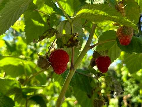 будинок за адресою Яблунева вул., 28