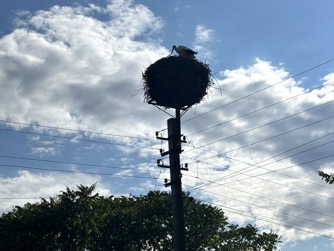 дом по адресу Центр