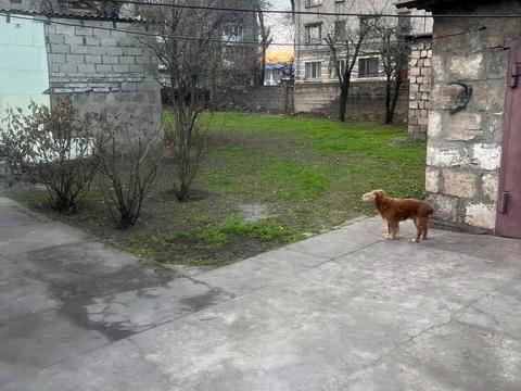 будинок за адресою Кам'янське (Дніпродзержинськ), Гімназичний просп. (Пеліна)