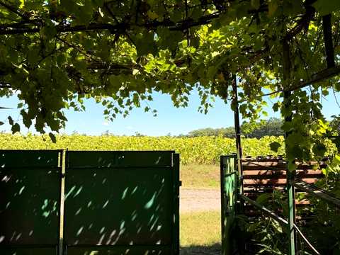 будинок за адресою с. Озерна, Вишнева, 26
