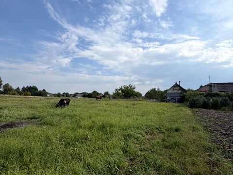будинок за адресою с. Студениця, Центральна, 8
