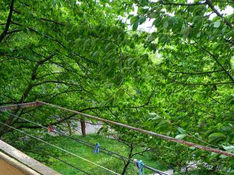 квартира за адресою Олександра Довженка вул., 7-Б