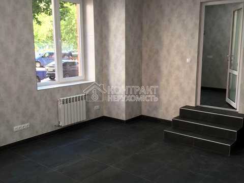комерційна за адресою Мирослава Мисли вул. (Цілиноградська), 58а