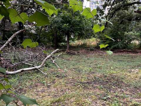 ділянка за адресою Тіниста вул., 6г