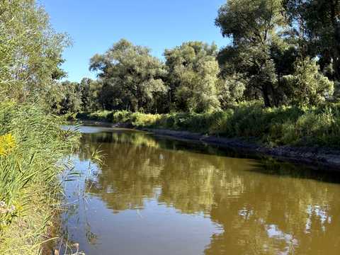 дом по адресу с. Княжичи, Мальовнича, 1