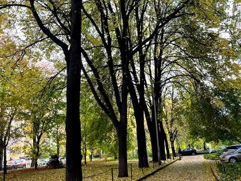 квартира за адресою Івана Мазепи вул. (Січневого Повстання), 4-А